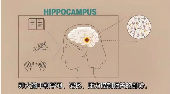微信图片_20230725123943.png