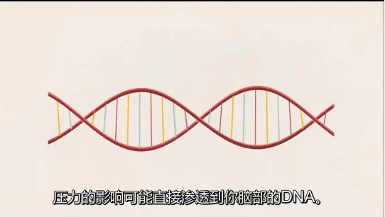 微信图片_20230725124009.png
