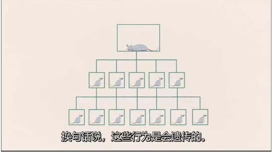 微信图片_20230725124022.png